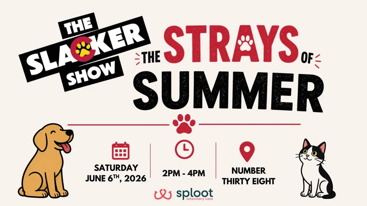 Strays of Summer Event